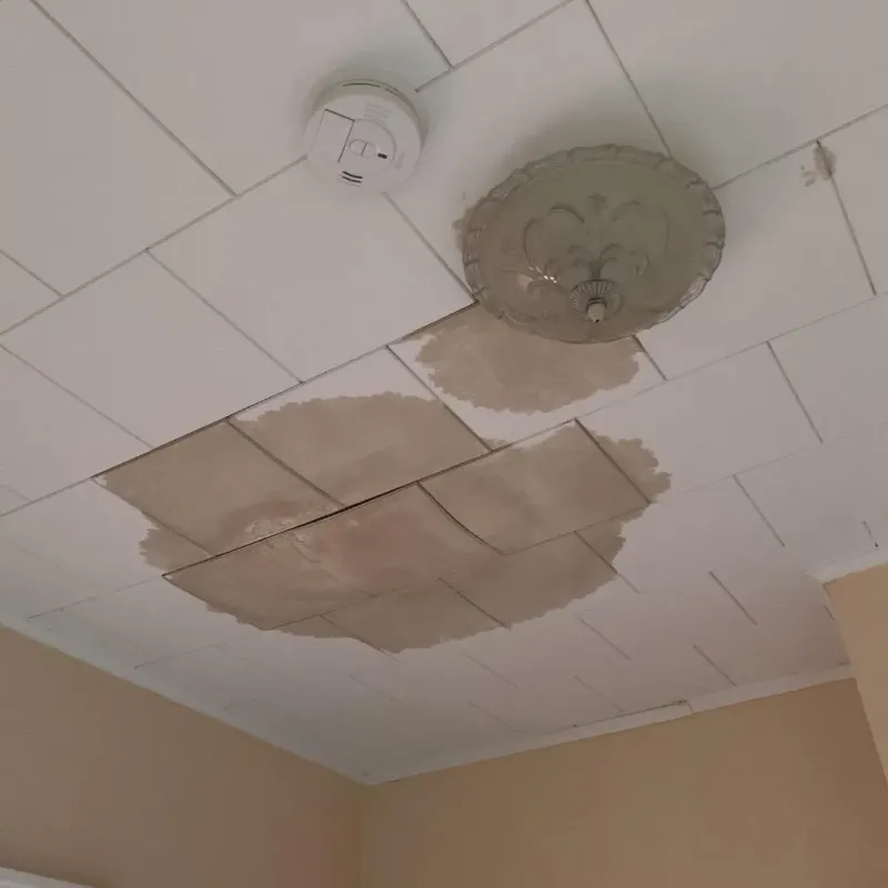 Ceiling Water Damage Repair in Fritch, TX