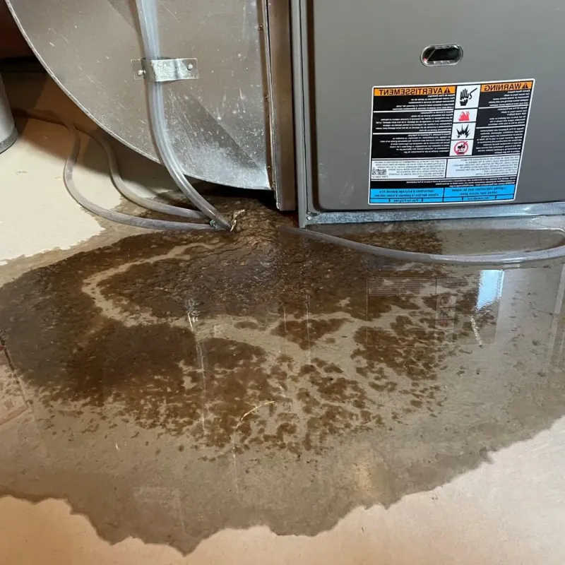 Pipe Burst and Leak Restoration in Fritch, TX