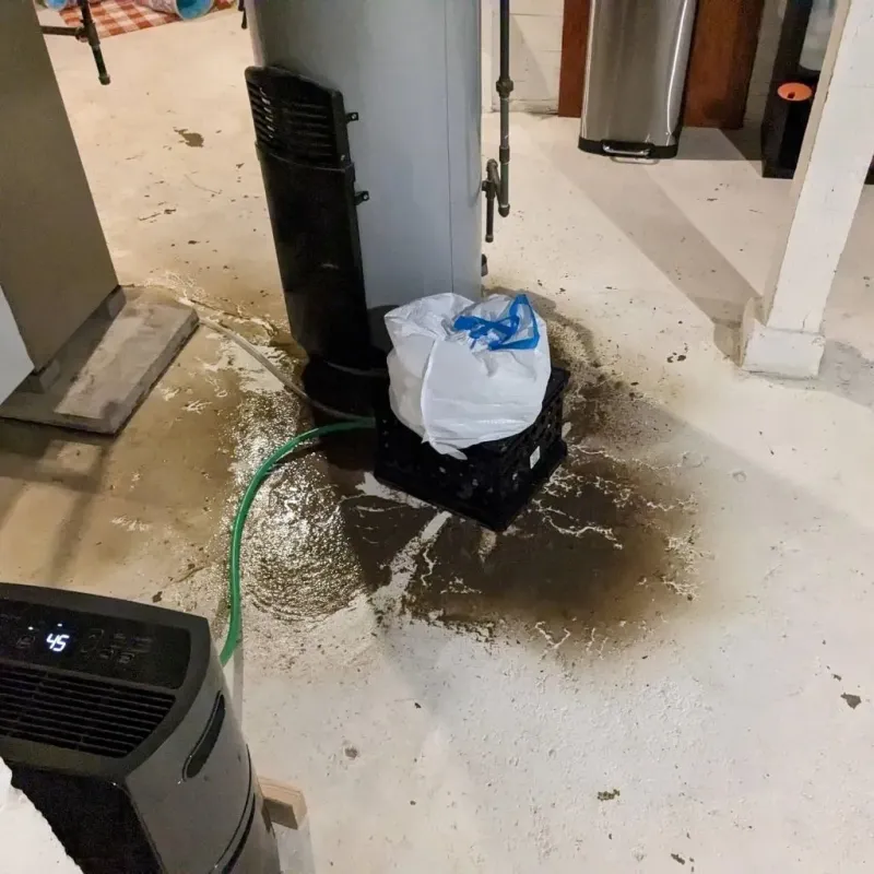 Sewage Backup Cleanup Service in Fritch, TX